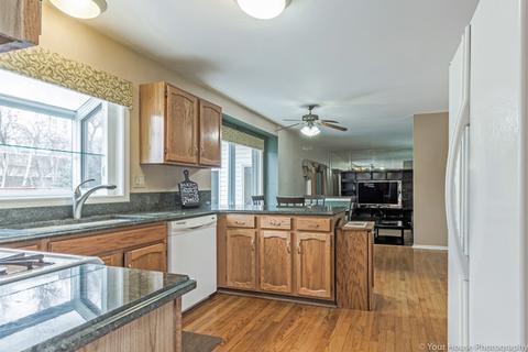 356 Wildberry Ln, Bartlett, IL 60103 photo 6