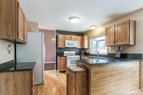 356 Wildberry Ln, Bartlett, IL 60103 photo 8