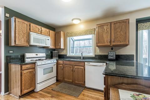 356 Wildberry Ln, Bartlett, IL 60103 photo 7