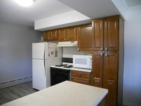 312 Orchard St, Hillside, IL 60162 photo 4