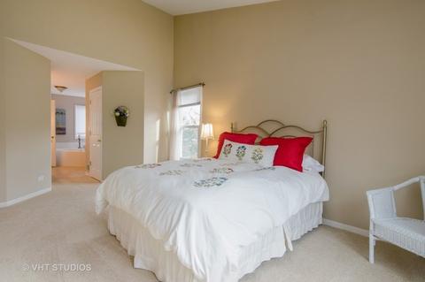 175 Salford Dr, Algonquin, IL 60102 photo 10
