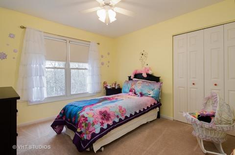 175 Salford Dr, Algonquin, IL 60102 photo 13