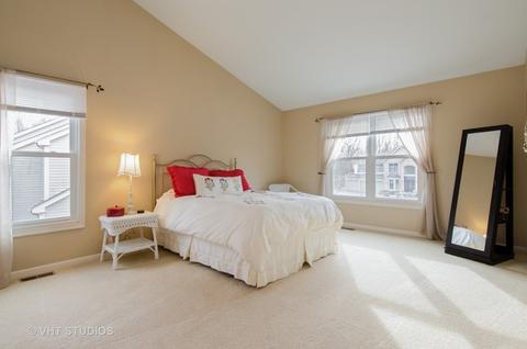 175 Salford Dr, Algonquin, IL 60102 photo 9