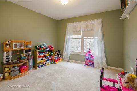 175 Salford Dr, Algonquin, IL 60102 photo 14
