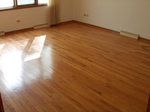 17944 Park Ave, Lansing, IL 60438 photo 3