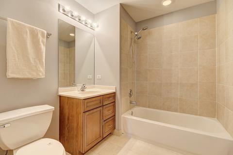 41 E 8th St #1007, Chicago, IL 60605 photo 15
