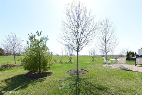 1200 Sears Cir, Elburn, IL 60119 photo 20