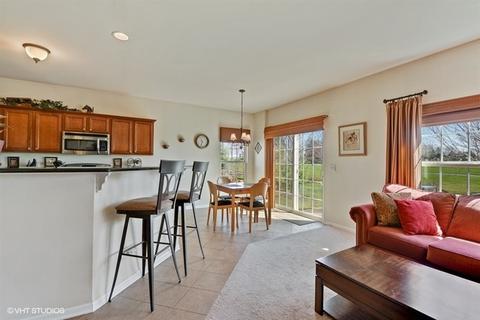 1200 Sears Cir, Elburn, IL 60119 photo 8