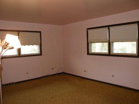 23330 Tieri Ln, Steger, IL 60475 photo 7