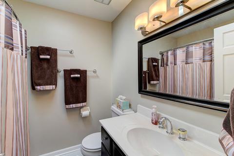 473 Eagle View Dr, Carol Stream, IL 60188 photo 17