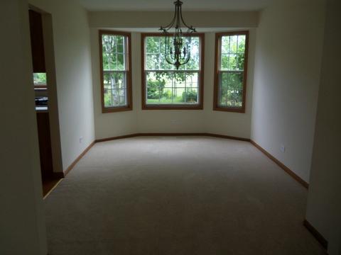 3253 Gresham Ln E, Aurora, IL 60504 photo 4