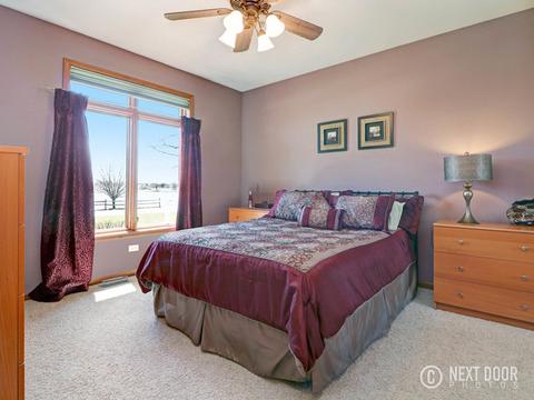6610 Lakeview Ln, Monee, IL 60449 photo 31
