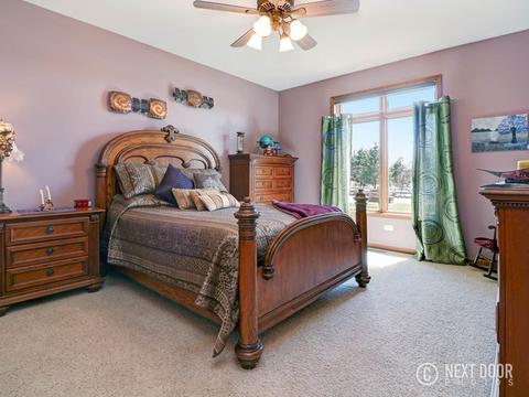 6610 Lakeview Ln, Monee, IL 60449 photo 29