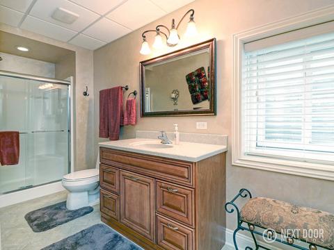 6610 Lakeview Ln, Monee, IL 60449 photo 53