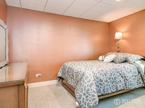 6610 Lakeview Ln, Monee, IL 60449 photo 52