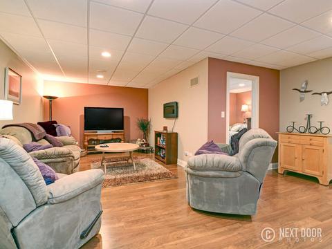 6610 Lakeview Ln, Monee, IL 60449 photo 44