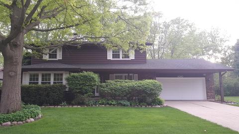 100 Brookside Dr, Elgin, IL 60123 photo 46
