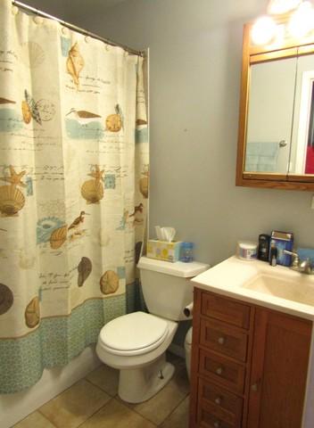 585 Jamison Ln, Hoffman Estates, IL 60169 photo 20