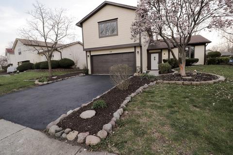 54 Deerpath Rd, Matteson, IL 60443 photo 2