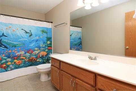 910 Casey Dr, Minooka, IL 60447 photo 23