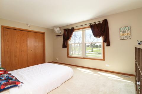 910 Casey Dr, Minooka, IL 60447 photo 24