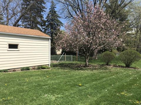121 S Commonwealth Ave, Elgin, IL 60123 photo 18