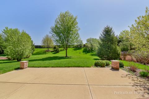 12533 Lily Ln, Plainfield, IL 60585 photo 4