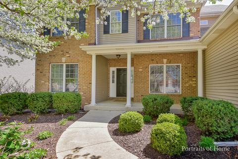 12533 Lily Ln, Plainfield, IL 60585 photo 2