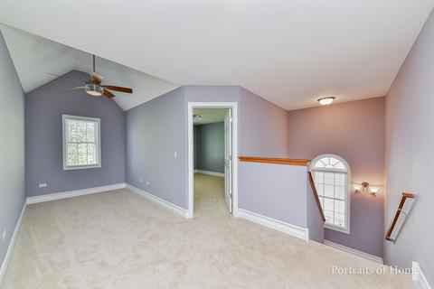 12533 Lily Ln, Plainfield, IL 60585 photo 21