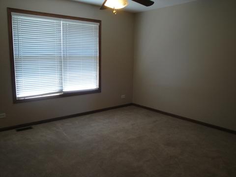 902 Casey Dr, Minooka, IL 60447 photo 21