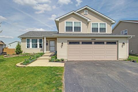 2808 Sierra Ave, Plainfield, IL 60586 photo 19