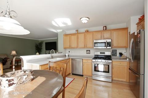 6802 Sahara Dr, Plainfield, IL 60586 photo 8