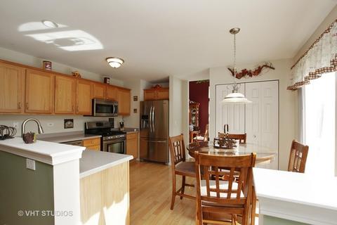 6802 Sahara Dr, Plainfield, IL 60586 photo 7