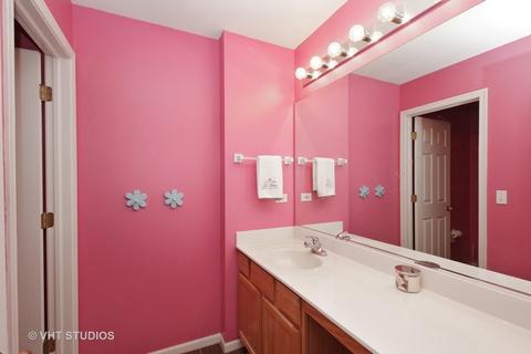 6802 Sahara Dr, Plainfield, IL 60586 photo 20