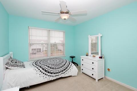 6802 Sahara Dr, Plainfield, IL 60586 photo 19