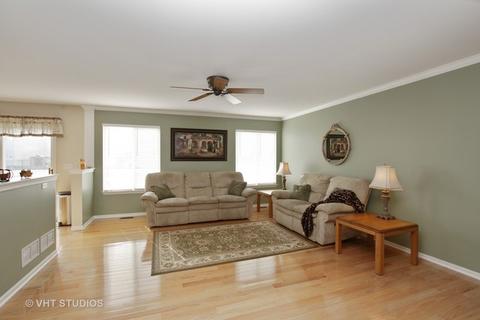 6802 Sahara Dr, Plainfield, IL 60586 photo 10