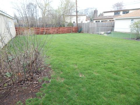 2054 Pratt Ave, Des Plaines, IL 60018 photo 22