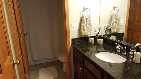 1009 E Crest Ave, Addison, IL 60101 photo 18