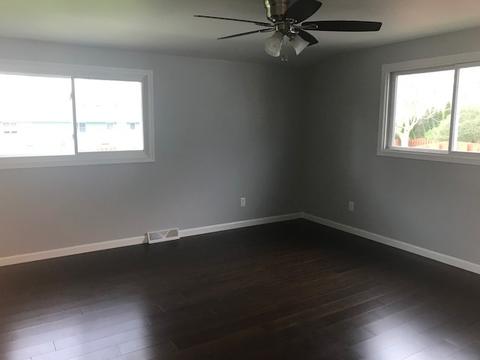 905 W 1st St, Spring Valley, IL 61362 photo 6