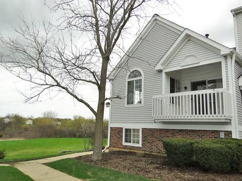 2280 Dawson Ln, Algonquin, IL 60102 photo 23