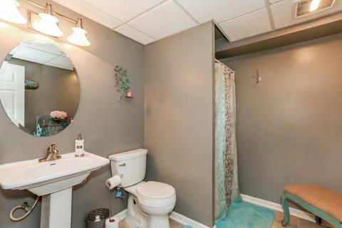 233 Garden Dr, Elgin, IL 60124 photo 23