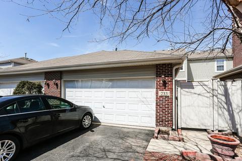 233 Garden Dr, Elgin, IL 60124 photo 27