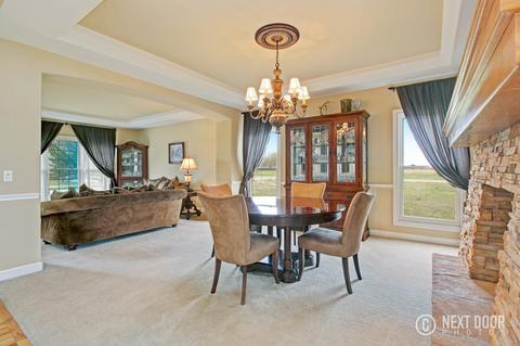 13512 Summergrove Dr, Plainfield, IL 60585 photo 10