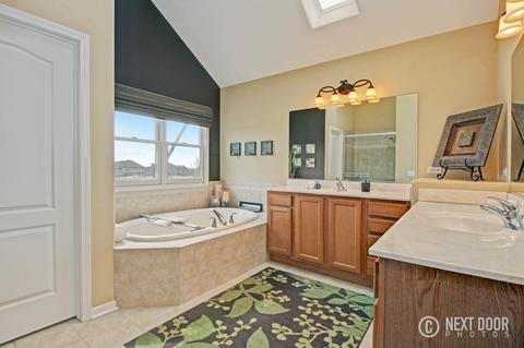 13512 Summergrove Dr, Plainfield, IL 60585 photo 22