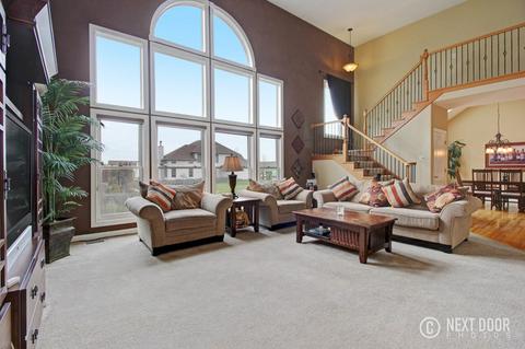 13512 Summergrove Dr, Plainfield, IL 60585 photo 14