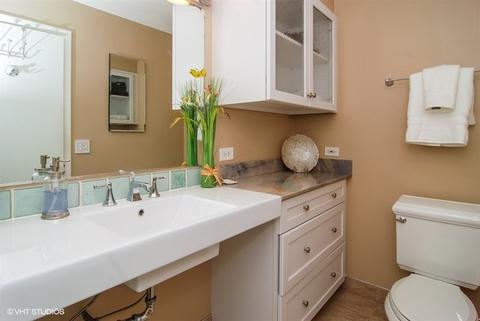 211 Elgin Ave #4E, Forest Park, IL 60130 photo 10