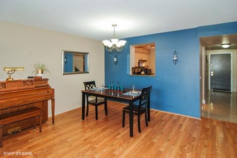 211 Elgin Ave #4E, Forest Park, IL 60130 photo 6