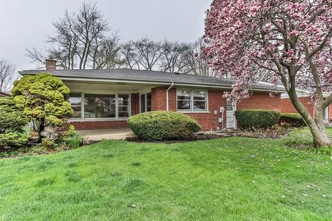 749 Mark Ave, Des Plaines, IL 60016 photo 17