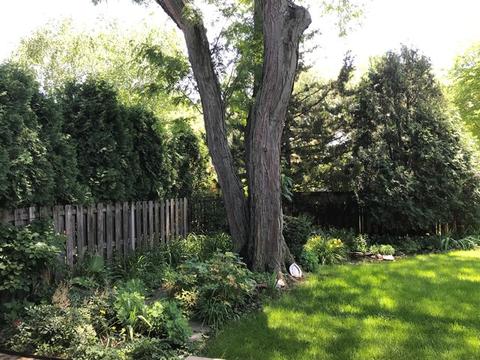 1621 E Cedar Ln, Mount Prospect, IL 60056 photo 35