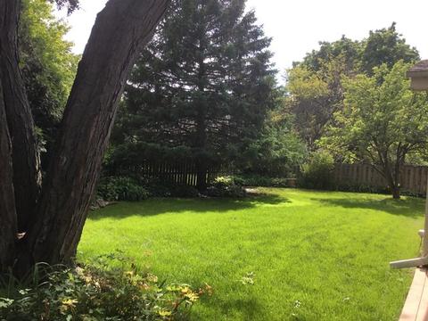 1621 E Cedar Ln, Mount Prospect, IL 60056 photo 36